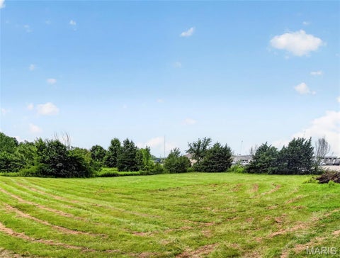 Tiny photo for 2167 Old Highway 61, Troy, MO 63379 (MLS # 26044536)