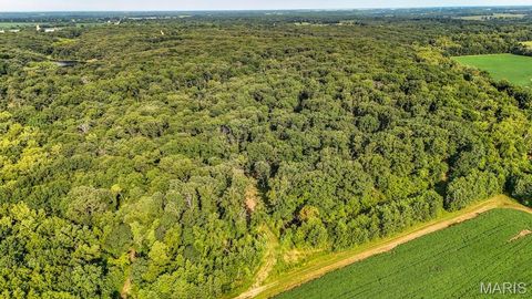 Photo of 0 County Road 210, Fulton, MO 65251 (MLS # 25067354)