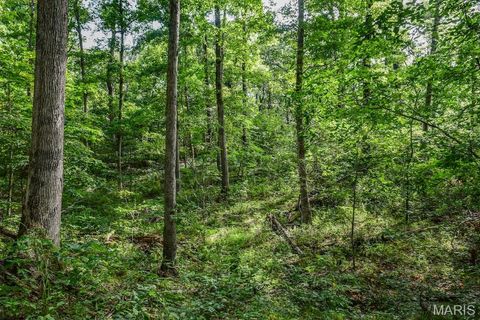 Tiny photo for 0 County Road 210, Fulton, MO 65251 (MLS # 25067354)