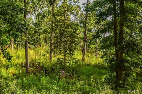 Tiny photo for 0 County Road 210, Fulton, MO 65251 (MLS # 25067354)