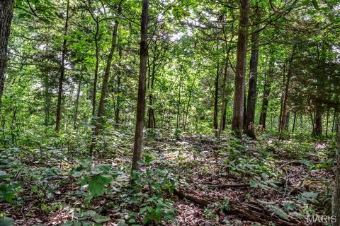Tiny photo for 0 County Road 210, Fulton, MO 65251 (MLS # 25067354)