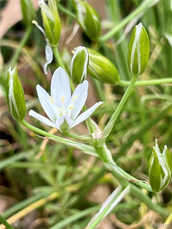 Ridgeview Add - Residential