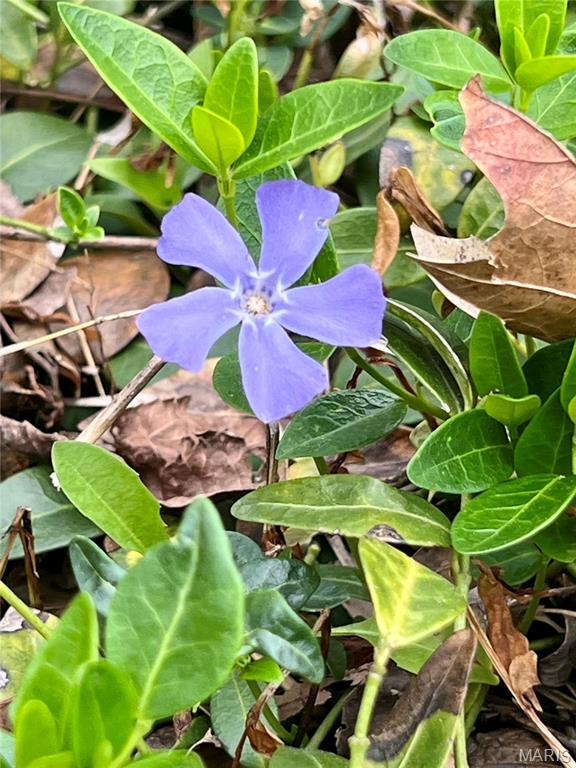 Ridgeview Add - Residential