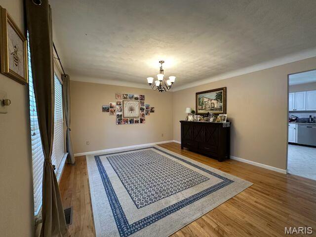 1003 Mallow Drive