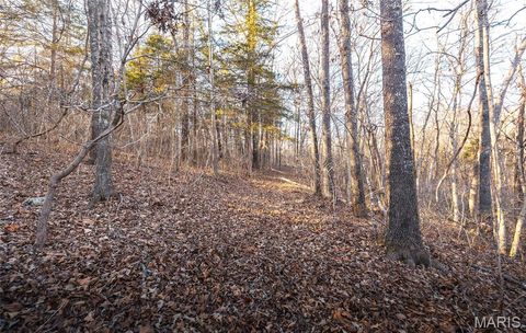 Tiny photo for 00 County Road 555-B, Tecumseh, MO 65760 (MLS # 26011769)
