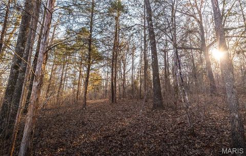 Tiny photo for 00 County Road 555-B, Tecumseh, MO 65760 (MLS # 26011769)