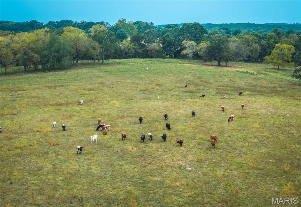 N/A - Farm