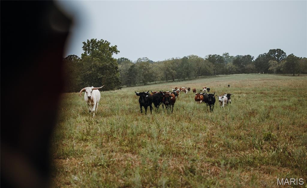N/A - Farm