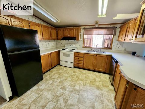 Tiny photo for 353 Truman Street, Newburg, MO 65550 (MLS # 26030370)