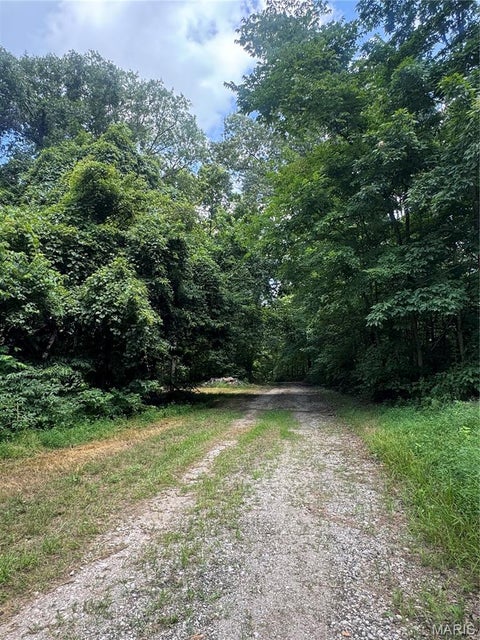 Tiny photo for 101 Highway D, Frohna, MO 63748 (MLS # 26048242)