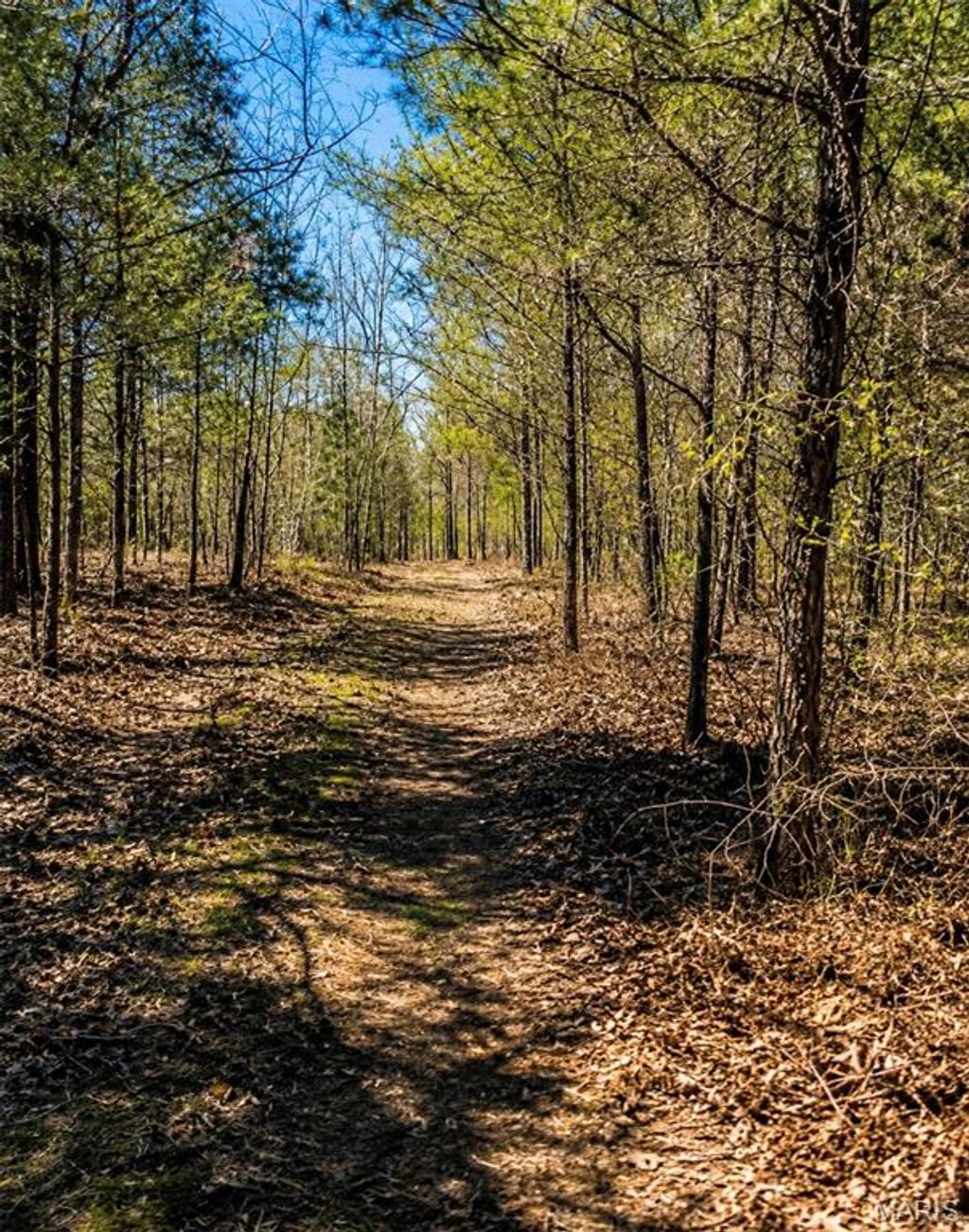 Photo of 1 142E, Doniphan, MO 63935 (MLS # 26032345)
