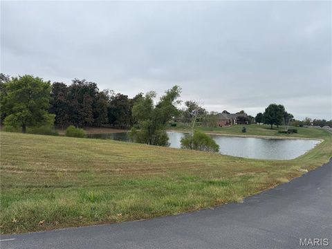 Tiny photo for 111 Tompkins Drive, Troy, MO 63379 (MLS # 25068218)