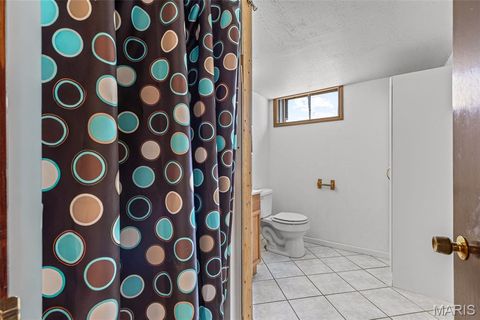 Tiny photo for 1205 Connie Drive, Arnold, MO 63010 (MLS # 26030036)