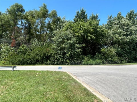 Tiny photo for 50 East Lane, Union, MO 63084 (MLS # 26051692)