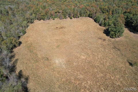 Tiny photo for 16065 HWY 142W, Gatewood, MO 63942 (MLS # 26068295)