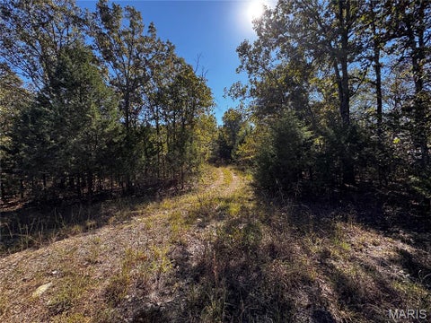 Tiny photo for 16065 HWY 142W, Gatewood, MO 63942 (MLS # 26068295)