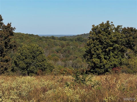 Tiny photo for 16065 HWY 142W, Gatewood, MO 63942 (MLS # 26068295)