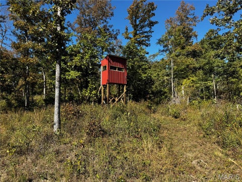 Tiny photo for 16065 HWY 142W, Gatewood, MO 63942 (MLS # 26068295)