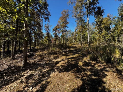 Tiny photo for 16065 HWY 142W, Gatewood, MO 63942 (MLS # 26068295)