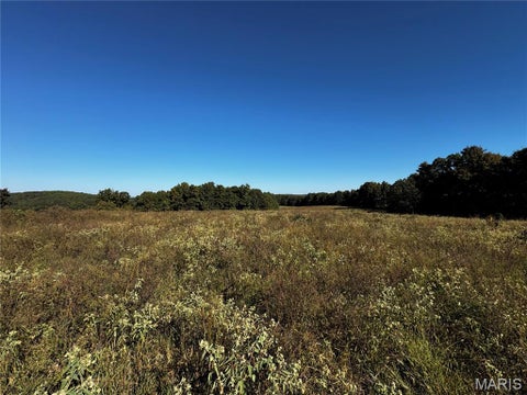Tiny photo for 16065 HWY 142W, Gatewood, MO 63942 (MLS # 26068295)