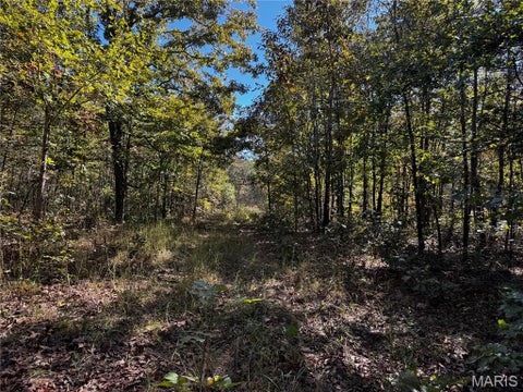 Tiny photo for 16065 HWY 142W, Gatewood, MO 63942 (MLS # 26068295)
