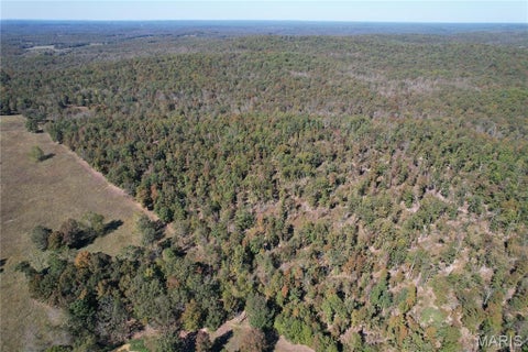 Tiny photo for 16065 HWY 142W, Gatewood, MO 63942 (MLS # 26068295)