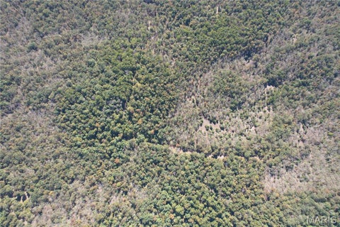 Tiny photo for 16065 HWY 142W, Gatewood, MO 63942 (MLS # 26068295)