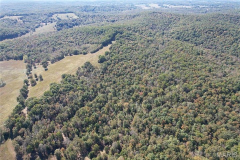Tiny photo for 16065 HWY 142W, Gatewood, MO 63942 (MLS # 26068295)