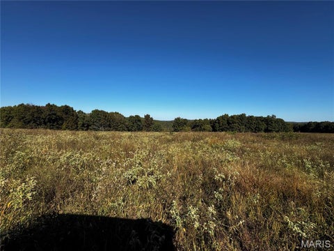 Tiny photo for 16065 HWY 142W, Gatewood, MO 63942 (MLS # 26068295)