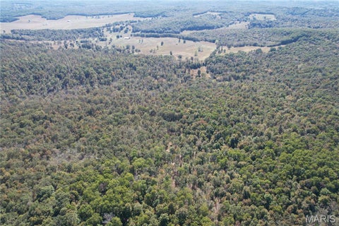 Tiny photo for 16065 HWY 142W, Gatewood, MO 63942 (MLS # 26068295)