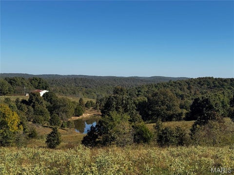 Photo of 16065 HWY 142W, Gatewood, MO 63942 (MLS # 26068295)