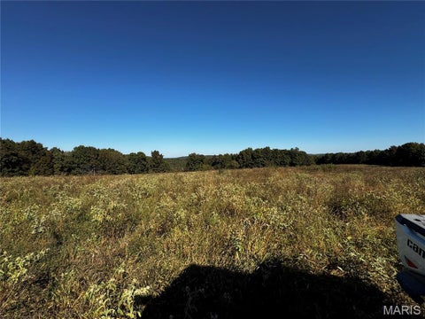 Tiny photo for 16065 HWY 142W, Gatewood, MO 63942 (MLS # 26068295)