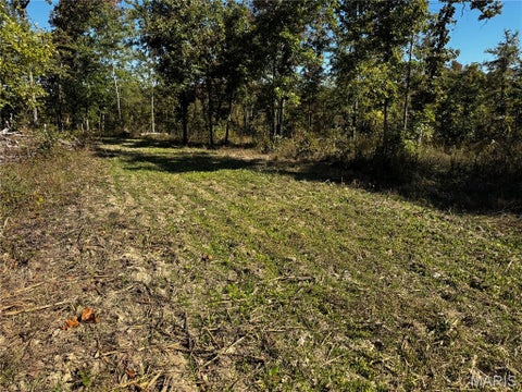 Tiny photo for 16065 HWY 142W, Gatewood, MO 63942 (MLS # 26068295)