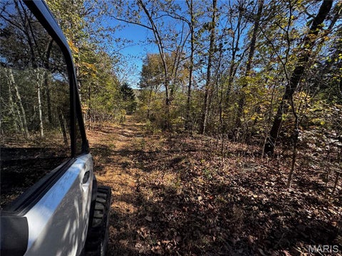 Tiny photo for 16065 HWY 142W, Gatewood, MO 63942 (MLS # 26068295)