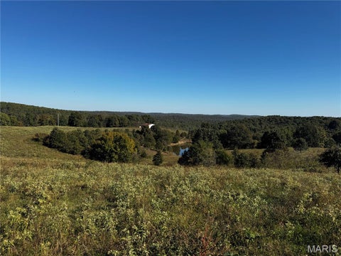 Tiny photo for 16065 HWY 142W, Gatewood, MO 63942 (MLS # 26068295)