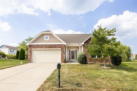 Photo of 804 Bluff Ridge Ln Lane, Shiloh, IL 62221 (MLS # 26016443)