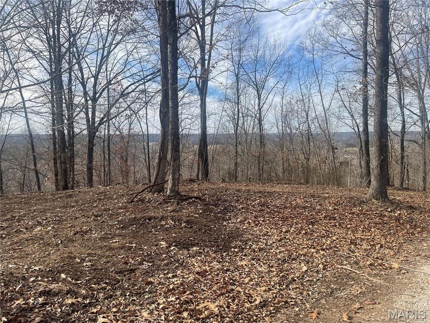 How would you like to build a home with a birds eye view?  Just a few minutes from town, this 33 acres has it!   The timber was cut and sellers have built a nice road winding around the property to the top.  The view is beautiful.  Everyone wants land and this is a nice piece of property.  Give me a call before this one gets away.