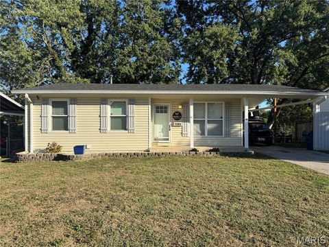 5365 Ville Rosa Lane Hazelwood MO 63042