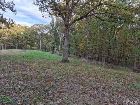 Tiny photo for 0 Highway D - Tract 10 (14.4+/- Acres), Eolia, MO 63344 (MLS # 25073139)