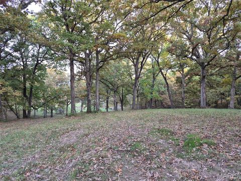 Tiny photo for 0 Highway D - Tract 10 (14.4+/- Acres), Eolia, MO 63344 (MLS # 25073139)