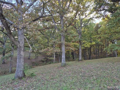 Tiny photo for 0 Highway D - Tract 10 (14.4+/- Acres), Eolia, MO 63344 (MLS # 25073139)