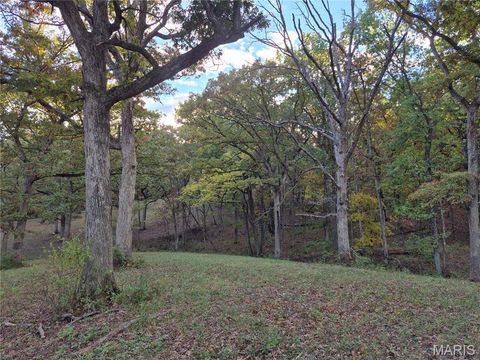 Tiny photo for 0 Highway D - Tract 10 (14.4+/- Acres), Eolia, MO 63344 (MLS # 25073139)