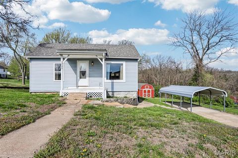 Photo of 700 Lovett Street, De Soto, MO 63020 (MLS # 26019129)