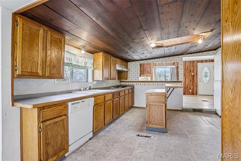 Tiny photo for 700 Lovett Street, De Soto, MO 63020 (MLS # 26019129)