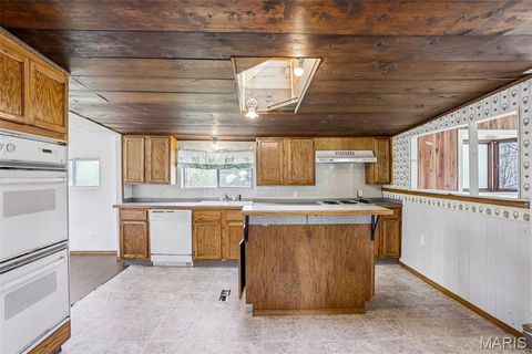 Tiny photo for 700 Lovett Street, De Soto, MO 63020 (MLS # 26019129)