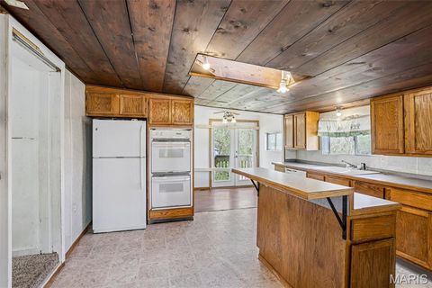 Tiny photo for 700 Lovett Street, De Soto, MO 63020 (MLS # 26019129)