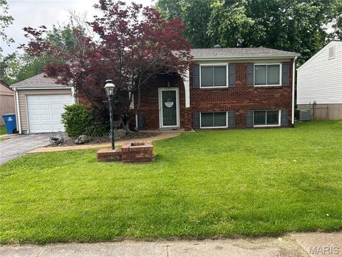 Photo of 11819 Foxwood Drive, Maryland Heights, MO 63043 (MLS # 26030713)