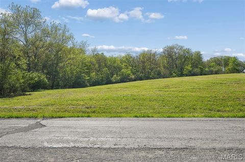 Tiny photo for 21 Spring House Lane, Troy, MO 63379 (MLS # 26022868)