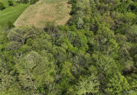 Tiny photo for 21 Spring House Lane, Troy, MO 63379 (MLS # 26022868)