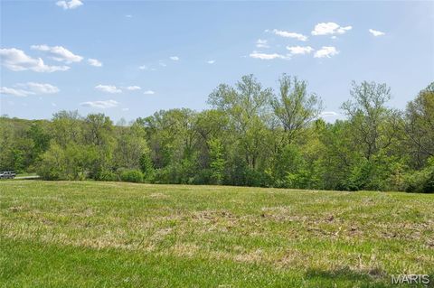 Tiny photo for 21 Spring House Lane, Troy, MO 63379 (MLS # 26022868)